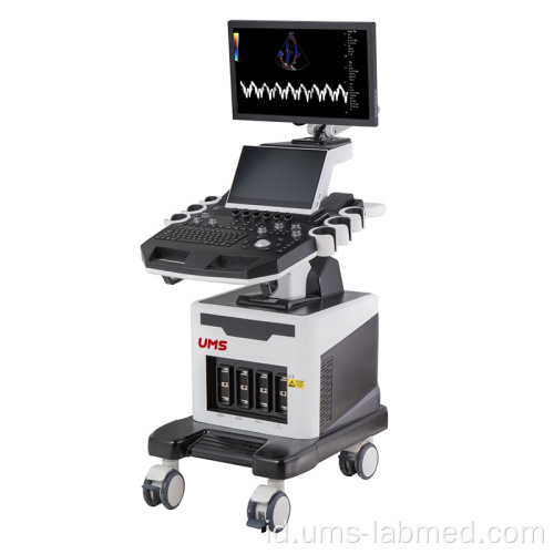 Mesin Ultrasonik Doppler Warna 4W UW-T8